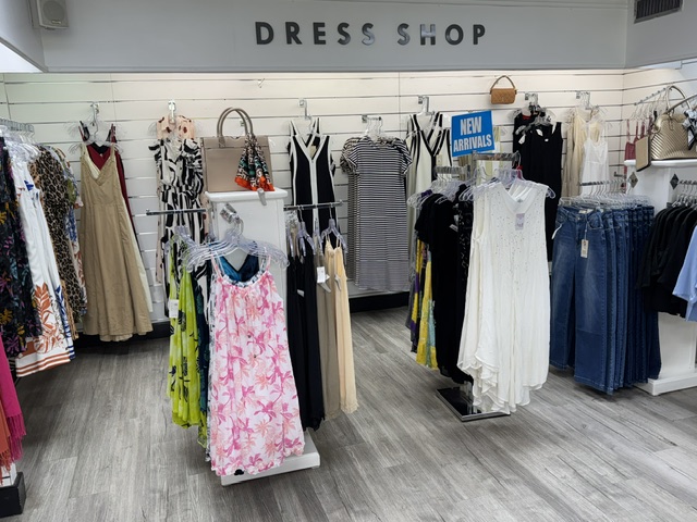 Dress Shop interior — new arrivals dresses and ladies fashion